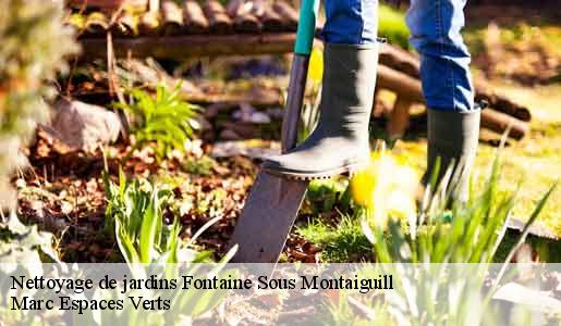 Nettoyage de jardins  fontaine-sous-montaiguill-77560 Marc Espaces Verts 