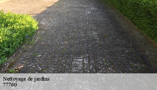 Nettoyage de jardins 77760