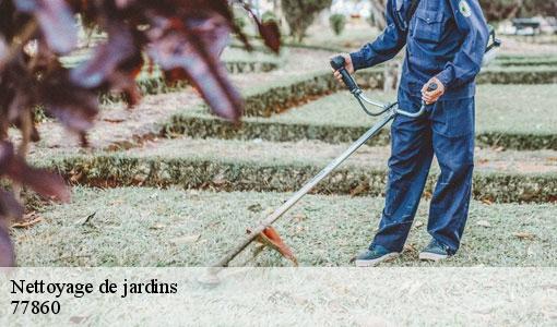 Nettoyage de jardins  77860