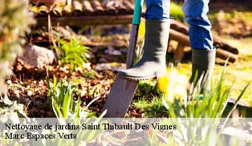 Nettoyage de jardins  saint-thibault-des-vignes-77400 Marc Espaces Verts 