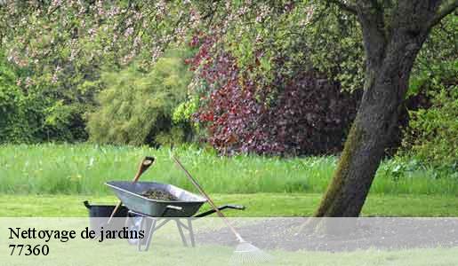 Nettoyage de jardins  77360