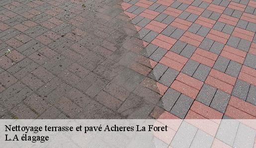 Nettoyage terrasse et pavé acheres-la-foret-77760 L.A élagage