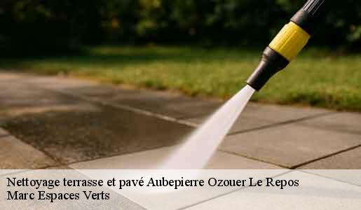 Nettoyage terrasse et pavé  aubepierre-ozouer-le-repos-77720 Marc Espaces Verts 