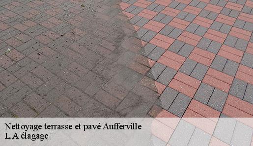 Nettoyage terrasse et pavé aufferville-77570 L.A élagage