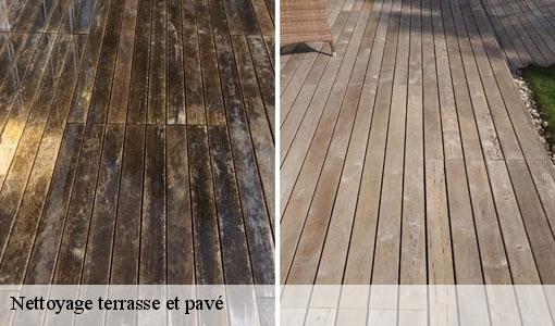 Nettoyage terrasse et pavé  77120