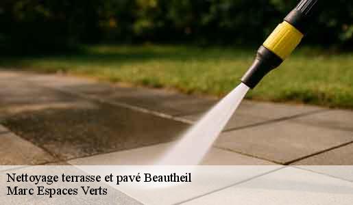 Nettoyage terrasse et pavé  beautheil-77120 Marc Espaces Verts 
