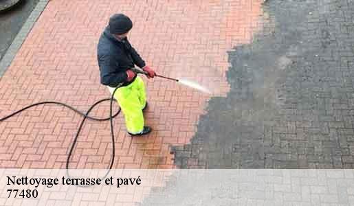 Nettoyage terrasse et pavé 77480