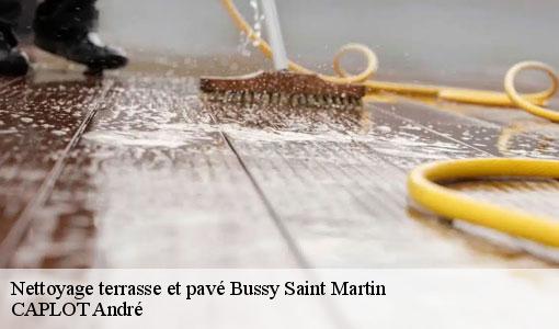 Nettoyage terrasse et pavé bussy-saint-martin-77600 CAPLOT André