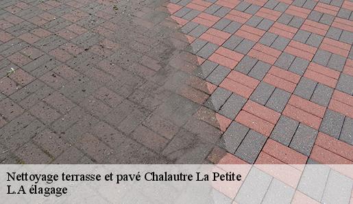 Nettoyage terrasse et pavé chalautre-la-petite-77160 L.A élagage