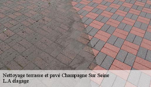 Nettoyage terrasse et pavé champagne-sur-seine-77430 L.A élagage