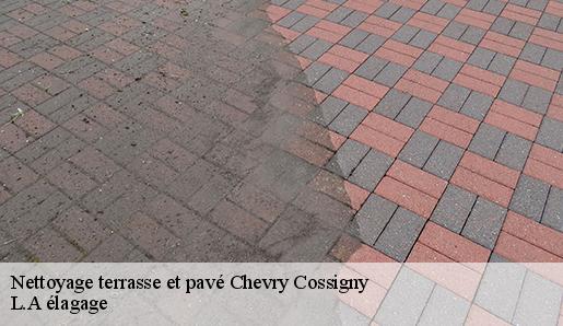 Nettoyage terrasse et pavé chevry-cossigny-77173 L.A élagage