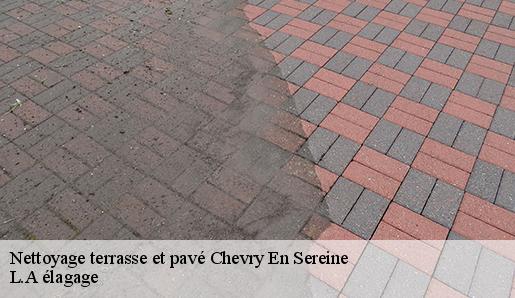 Nettoyage terrasse et pavé chevry-en-sereine-77710 L.A élagage