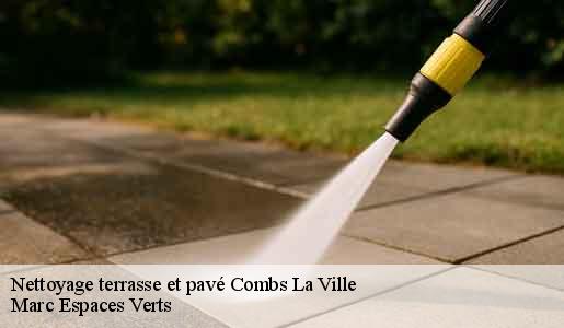 Nettoyage terrasse et pavé  combs-la-ville-77380 Marc Espaces Verts 
