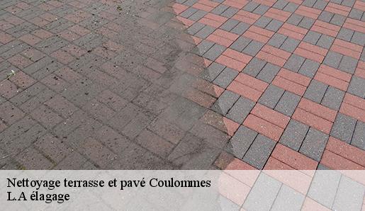Nettoyage terrasse et pavé coulommes-77580 L.A élagage