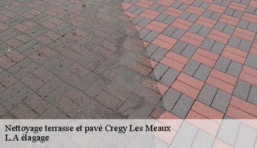 Nettoyage terrasse et pavé cregy-les-meaux-77124 L.A élagage