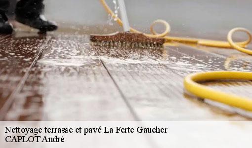 Nettoyage terrasse et pavé  la-ferte-gaucher-77320 CAPLOT André