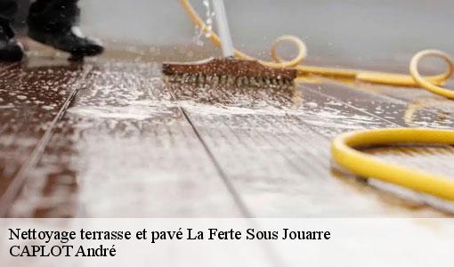 Nettoyage terrasse et pavé  la-ferte-sous-jouarre-77260 CAPLOT André