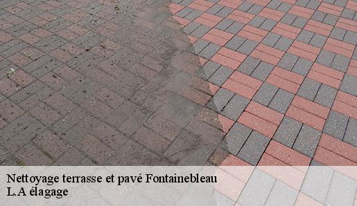 Nettoyage terrasse et pavé  fontainebleau-77300 L.A élagage 