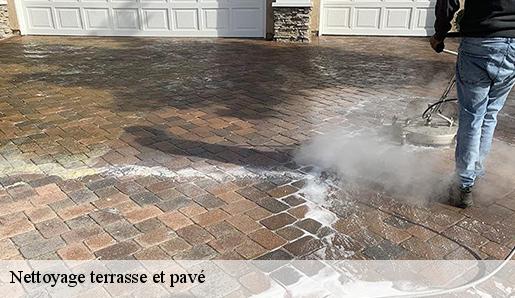 Nettoyage terrasse et pavé  77300