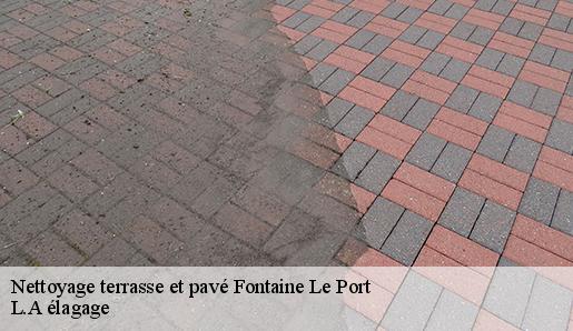 Nettoyage terrasse et pavé fontaine-le-port-77590 L.A élagage