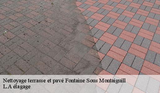 Nettoyage terrasse et pavé fontaine-sous-montaiguill-77560 L.A élagage