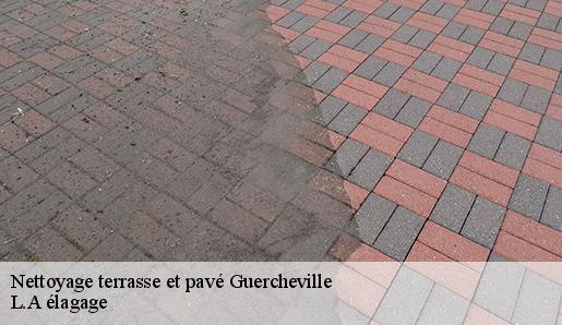 Nettoyage terrasse et pavé  guercheville-77760 L.A élagage 
