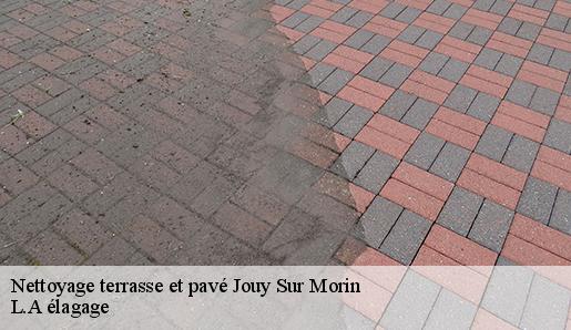 Nettoyage terrasse et pavé jouy-sur-morin-77320 L.A élagage