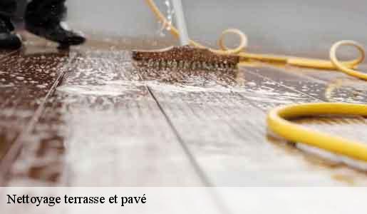 Nettoyage terrasse et pavé  77148