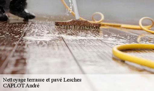 Nettoyage terrasse et pavé  lesches-77450 CAPLOT André