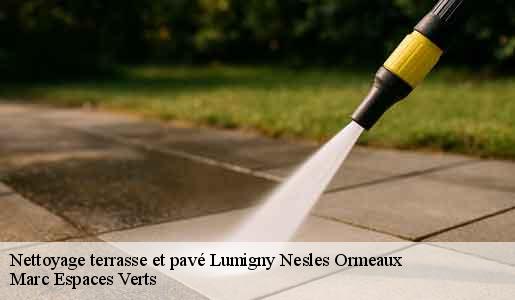 Nettoyage terrasse et pavé  lumigny-nesles-ormeaux-77540 Marc Espaces Verts 