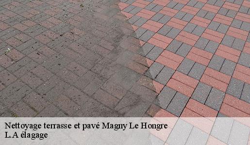 Nettoyage terrasse et pavé magny-le-hongre-77700 L.A élagage