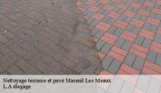 Nettoyage terrasse et pavé mareuil-les-meaux-77100 L.A élagage