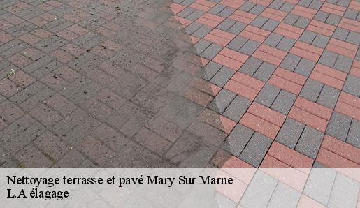 Nettoyage terrasse et pavé mary-sur-marne-77440 L.A élagage