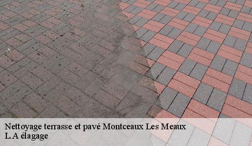 Nettoyage terrasse et pavé montceaux-les-meaux-77470 L.A élagage
