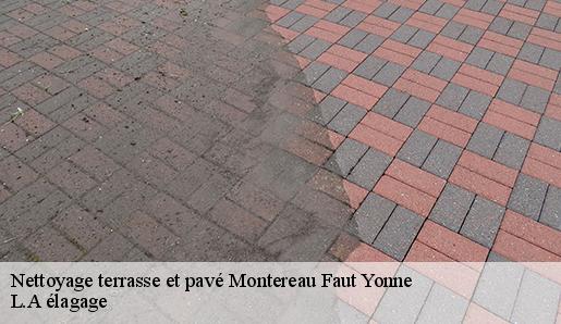 Nettoyage terrasse et pavé montereau-faut-yonne-77130 L.A élagage