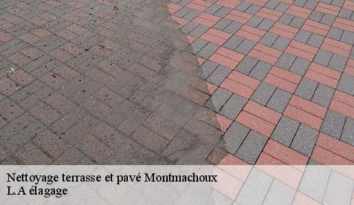 Nettoyage terrasse et pavé montmachoux-77940 L.A élagage