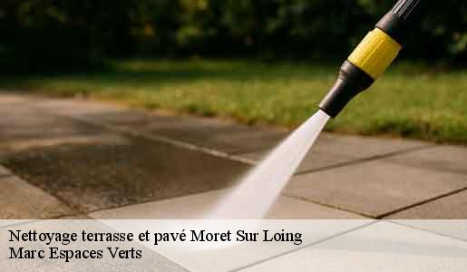 Nettoyage terrasse et pavé  moret-sur-loing-77250 Marc Espaces Verts 