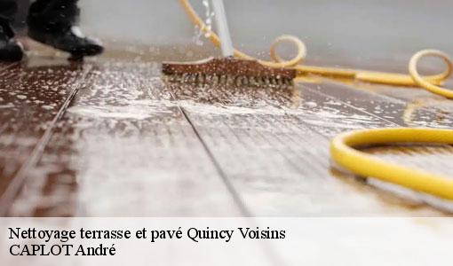 Nettoyage terrasse et pavé  quincy-voisins-77860 CAPLOT André