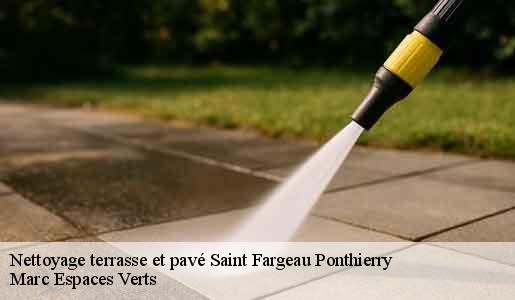 Nettoyage terrasse et pavé  saint-fargeau-ponthierry-77310 Marc Espaces Verts 