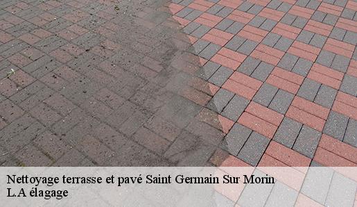 Nettoyage terrasse et pavé saint-germain-sur-morin-77860 L.A élagage