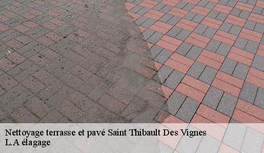 Nettoyage terrasse et pavé saint-thibault-des-vignes-77400 L.A élagage