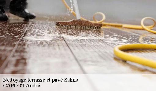 Nettoyage terrasse et pavé  salins-77148 CAPLOT André