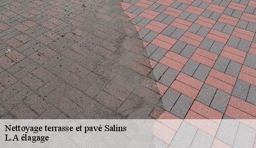 Nettoyage terrasse et pavé salins-77148 L.A élagage