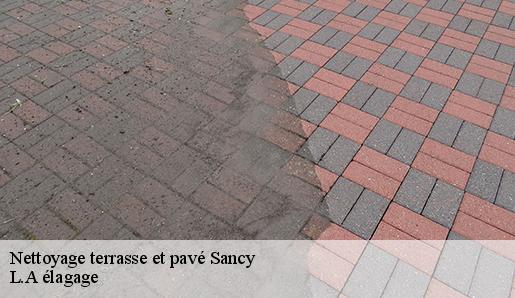Nettoyage terrasse et pavé sancy-77580 L.A élagage