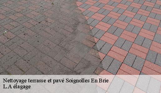 Nettoyage terrasse et pavé soignolles-en-brie-77111 L.A élagage