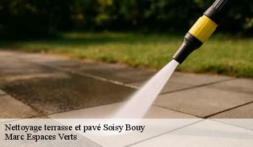 Nettoyage terrasse et pavé  soisy-bouy-77650 Marc Espaces Verts 