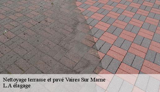 Nettoyage terrasse et pavé vaires-sur-marne-77360 L.A élagage