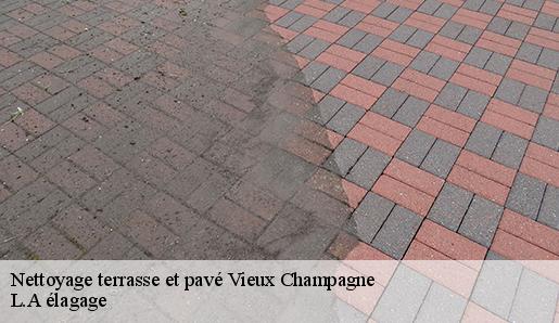 Nettoyage terrasse et pavé vieux-champagne-77370 L.A élagage