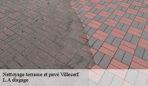 Nettoyage terrasse et pavé villecerf-77250 L.A élagage