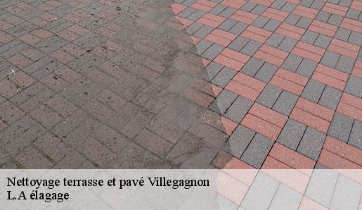 Nettoyage terrasse et pavé villegagnon-77970 L.A élagage